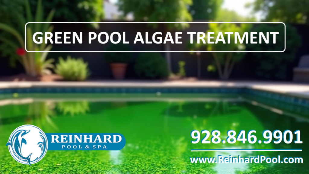 Reinhard Pool and Spa Lake Havasu City Green Pool Swimming Pool Algae Treatment Pool Cleaning Mohave County, Arizona